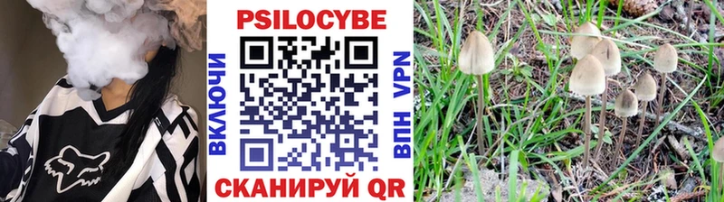 Псилоцибиновые грибы Magic Shrooms кракен маркетплейс Кисловодск как найти закладки