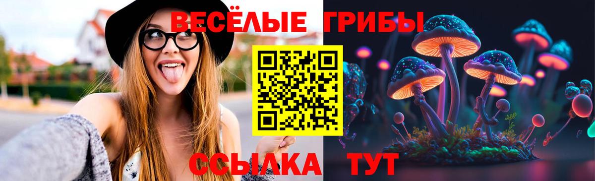 Галлюциногенные грибы Cubensis Кисловодск