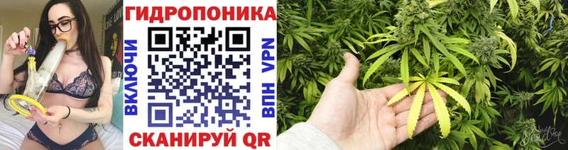 Канабис SATIVA & INDICA  Кисловодск 